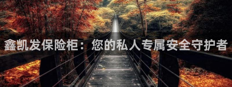 彩虹多多4代理