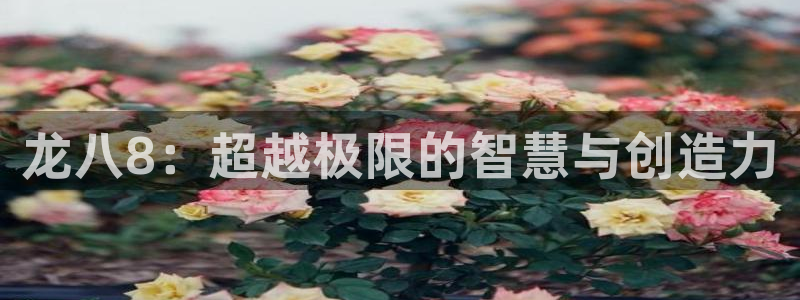 彩虹多多2平台注册：龙八8：超越极限的智慧与创造力