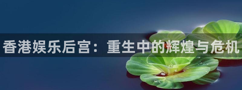 彩虹多多集团：香港娱乐后宫：重生中的辉煌与危机