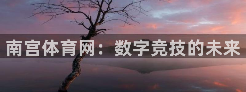 彩虹多多集团股票：南宫体育网：数字竞技的未来