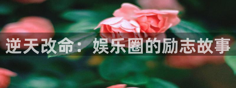 彩虹多多招商：逆天改命：娱乐圈的励志故事