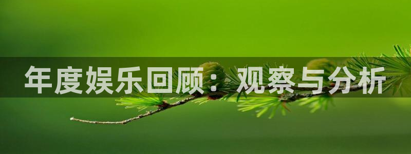 彩虹多多官网注册：年度娱乐回顾：观察与分析