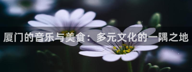 彩虹多多3注册：厦门的音乐与美食：多元文化的一隅之地