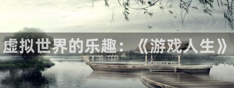 彩虹多多体育eon：虚拟世界的乐趣：《游戏人生》