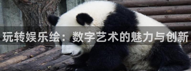 彩虹多多集团股票：玩转娱乐绘：数字艺术的魅力与创新
