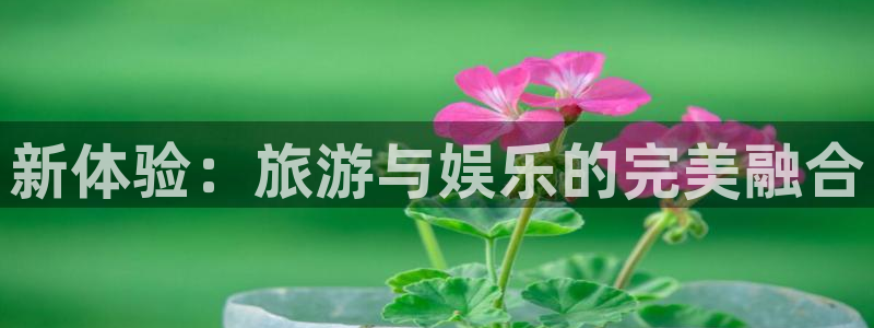 彩虹多多凯捷注册：新体验：旅游与娱乐的完美融合