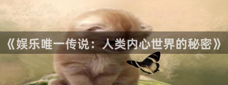 彩虹多多体育用品：《娱乐唯一传说：人类内心世界的秘密》