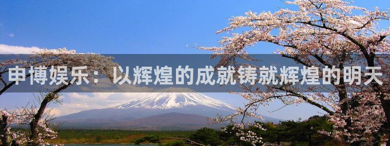 彩虹多多体育凯捷平台代理：申博娱乐：以辉煌的成就铸就辉煌的明天