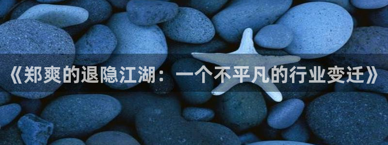 彩虹多多体育凯捷登陆：《郑爽的退隐江湖：一个不平凡的行业变迁》