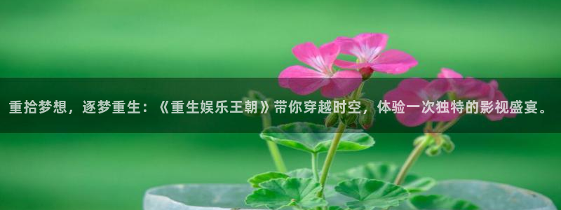 彩虹多多kgame：重拾梦想，逐梦重生：《重生娱乐王朝》带你穿越时空，体验一次独